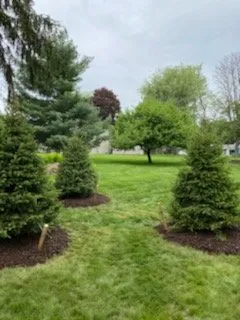 Custom landscape design for beautiful yards in Fowlerville, MI by Mayhew's Tree Farm & Nursery