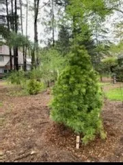 Affordable outdoor landscaping for outdoor upgrades across Fowlerville, MI - Mayhew's Tree Farm & Nursery