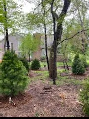 Expert outdoor landscaping experts serving Fowlerville, MI - Mayhew's Tree Farm & Nursery