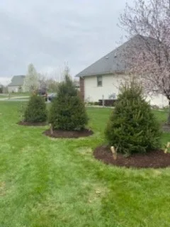 Professional landscaping services in Fowlerville, MI by Mayhew's Tree Farm & Nursery