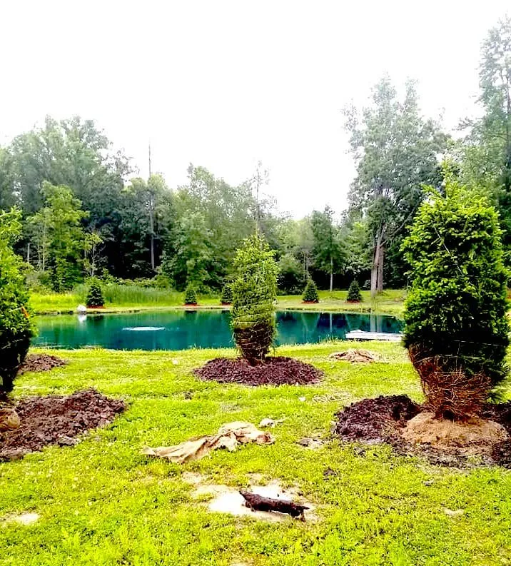Reliable yard maintenance in Fowlerville, MI by Mayhew's Tree Farm & Nursery
