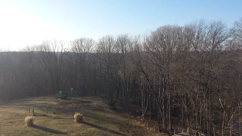 Expert landscape design with custom design in Greensburg, IN by Mayhugh's Lawn Care