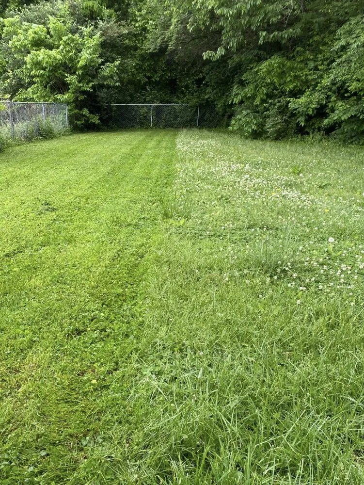 Top-rated residential landscaping in Waco, KY by Maylee’s Lawn Care