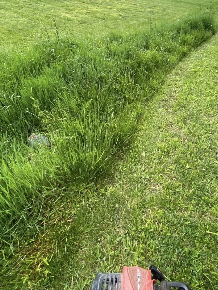 Reliable landscape design in Waco, KY by Maylee’s Lawn Care