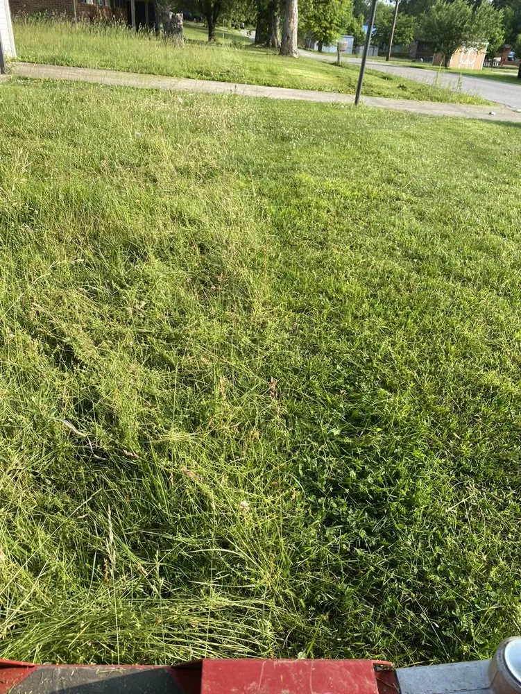 Expert landscape design for homes across Waco, KY - Maylee’s Lawn Care