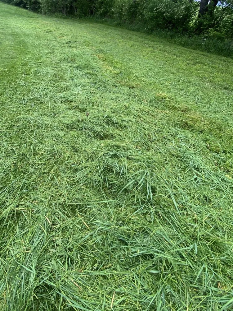 Local yard cleanup service in Waco, KY - Maylee’s Lawn Care