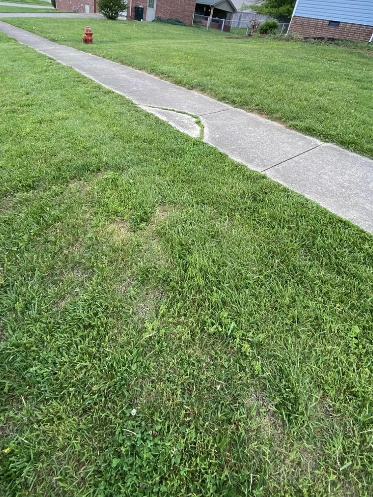 Top-rated lawn mowing service for residential properties in Waco, KY by Maylee’s Lawn Care