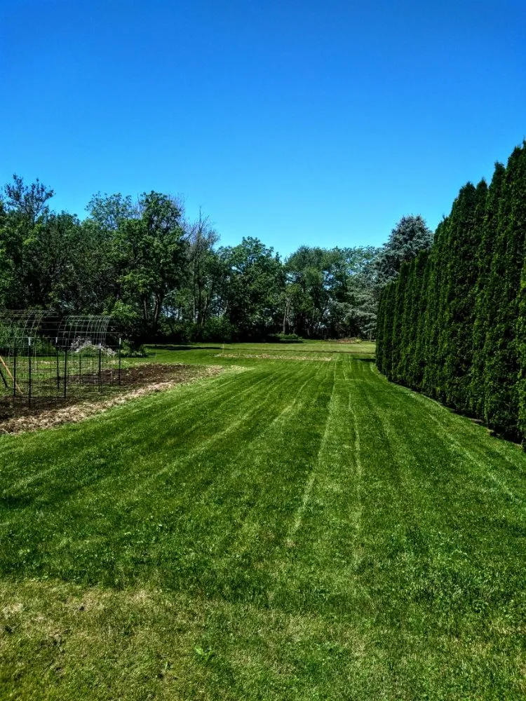 Professional residential landscaping with custom design across Geneseo, IL - Maynard Lawn Care Service