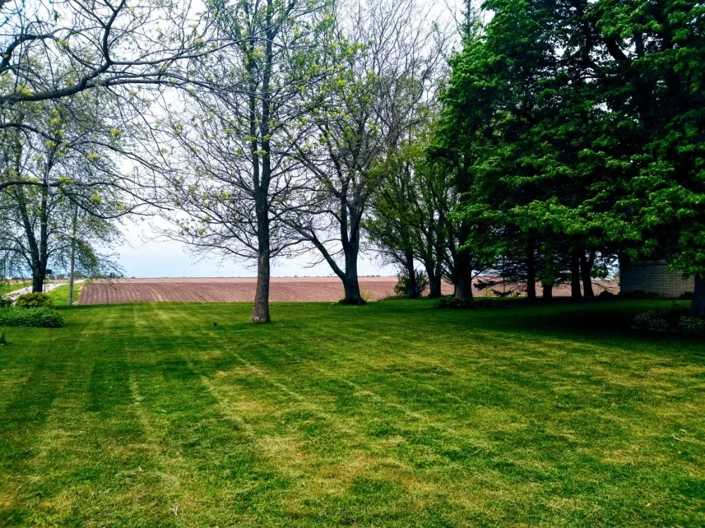 Top-rated landscape installation experts serving Geneseo, IL - Maynard Lawn Care Service