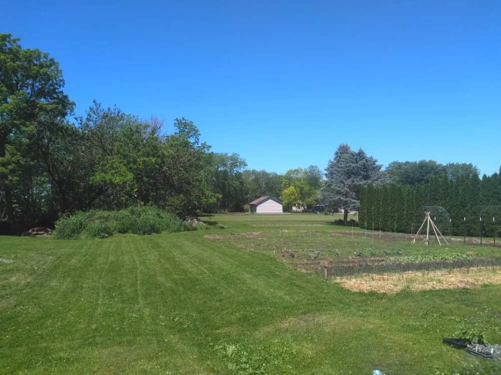 Professional yard cleanup service for year-round maintenance in Geneseo, IL by Maynard Lawn Care Service