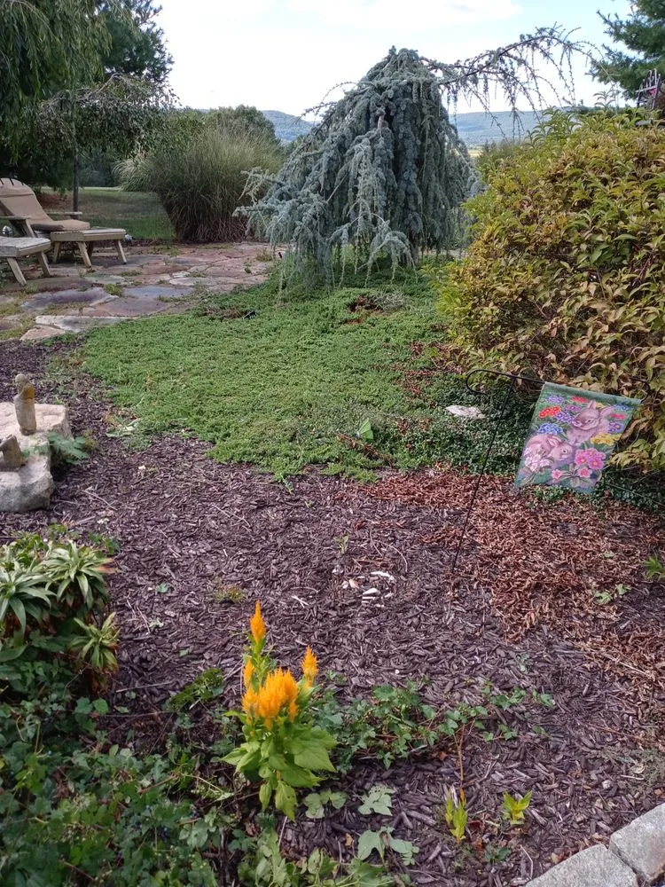 Expert outdoor landscaping experts serving Nescopeck, PA - Maynard Scrap Junk Removal