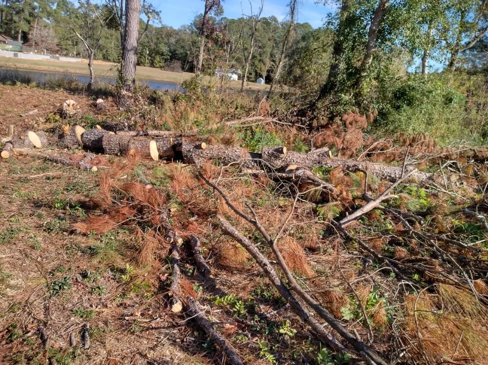 Custom landscape installation experts serving Darlington, SC - Maynards Landscaping