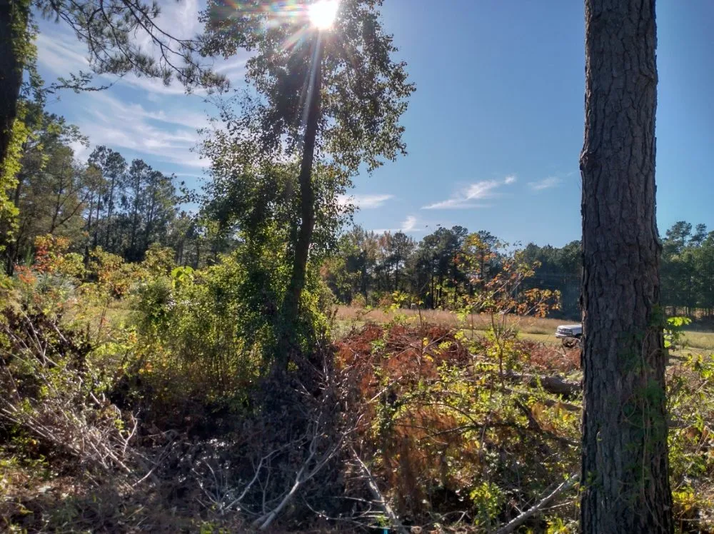 Reliable garden landscaping in Darlington, SC - Maynards Landscaping