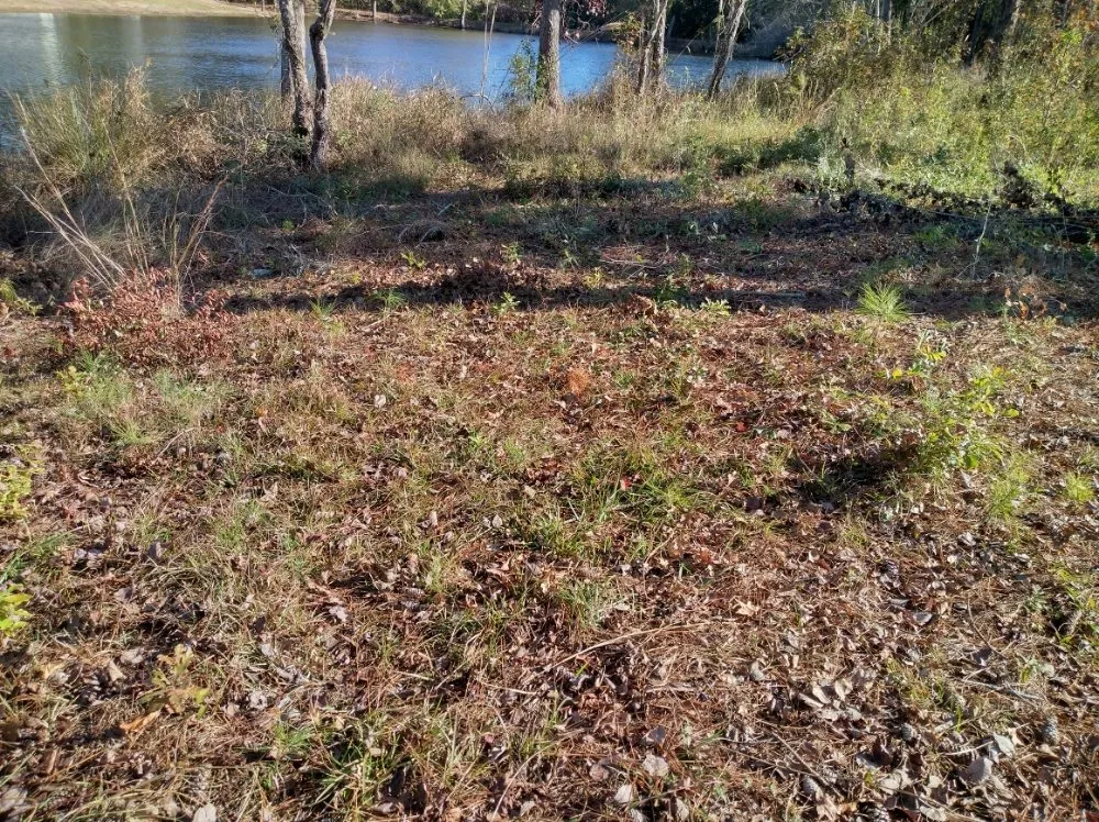 Reliable yard cleanup service experts serving Darlington, SC - Maynards Landscaping