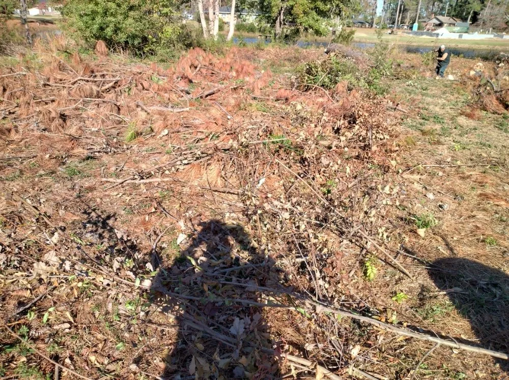 Custom landscaping services in Darlington, SC - Maynards Landscaping