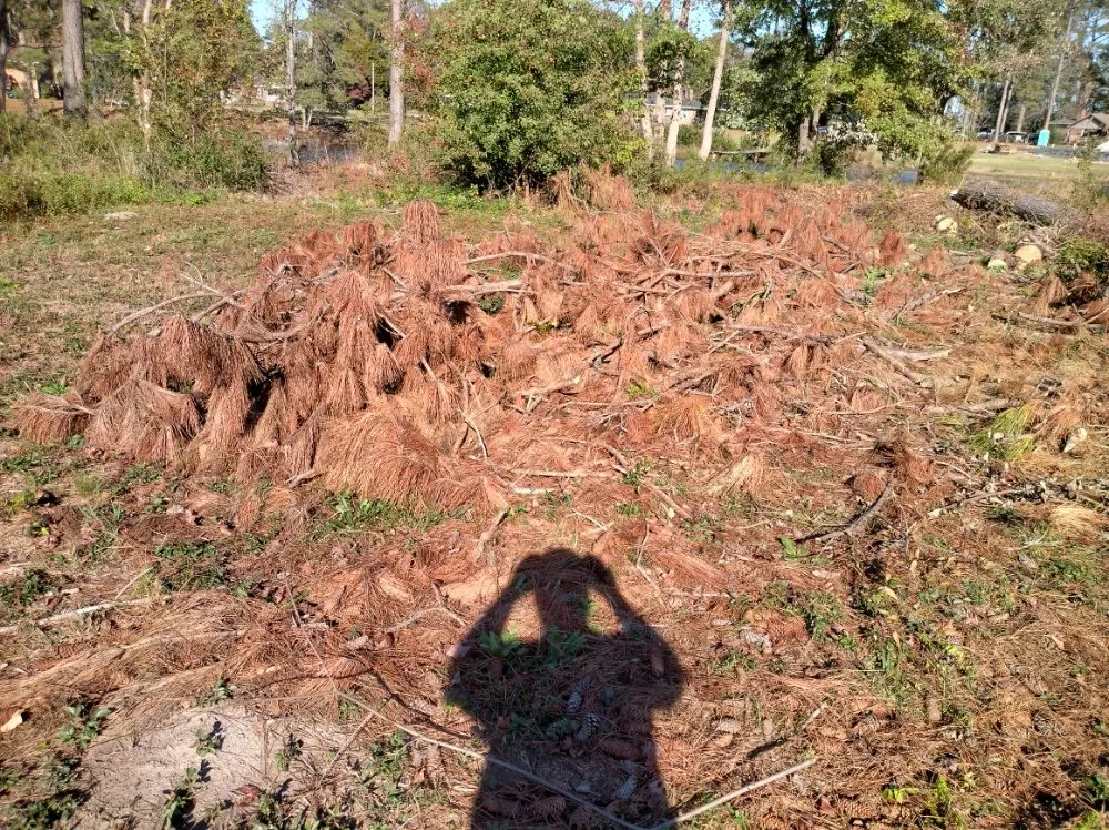 Local landscape design in Darlington, SC - Maynards Landscaping