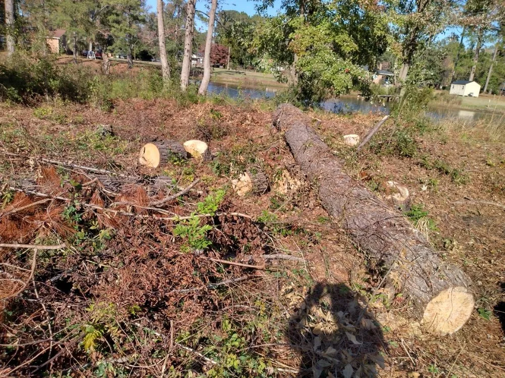 Custom garden landscaping in Darlington, SC by Maynards Landscaping