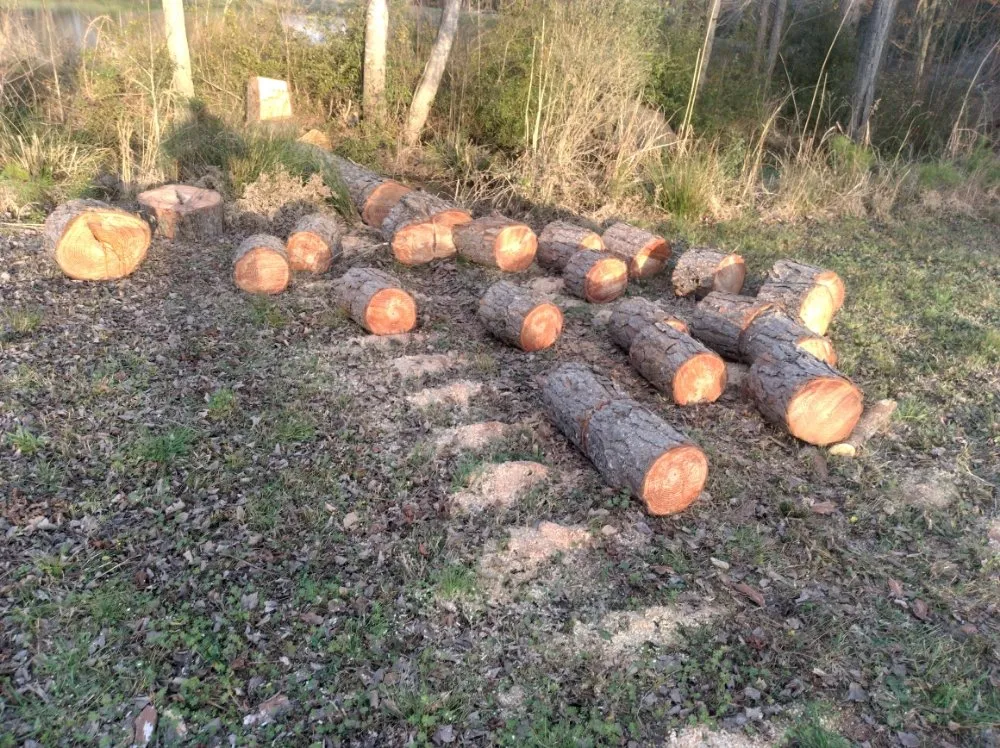 Reliable landscape design experts serving Darlington, SC - Maynards Landscaping