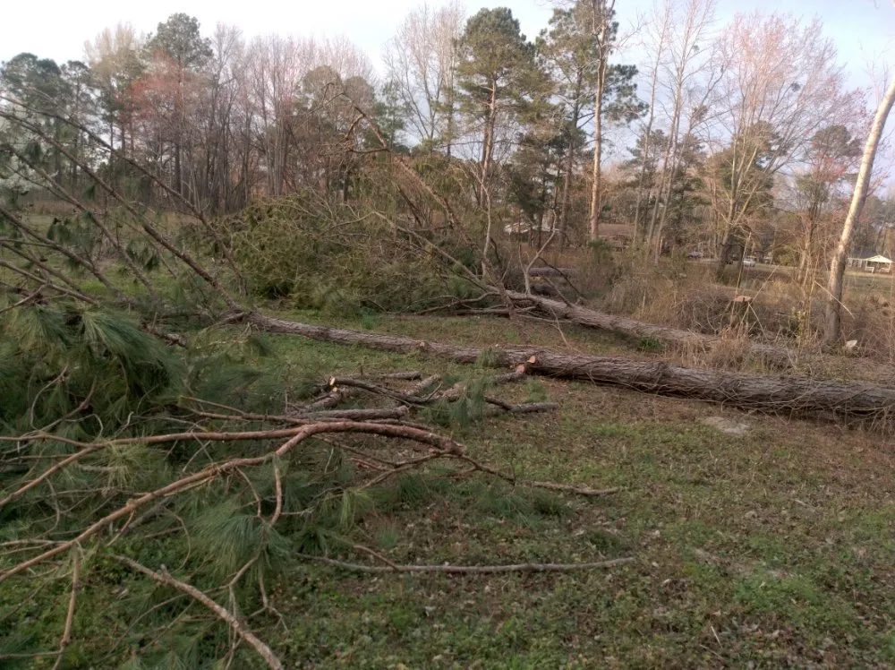 Trusted yard maintenance for beautiful yards in Darlington, SC by Maynards Landscaping