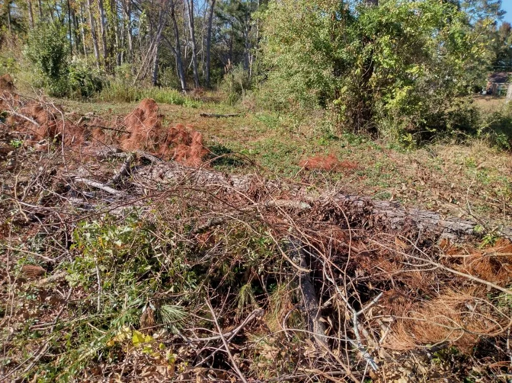 Reliable garden landscaping for residential properties in Darlington, SC by Maynards Landscaping