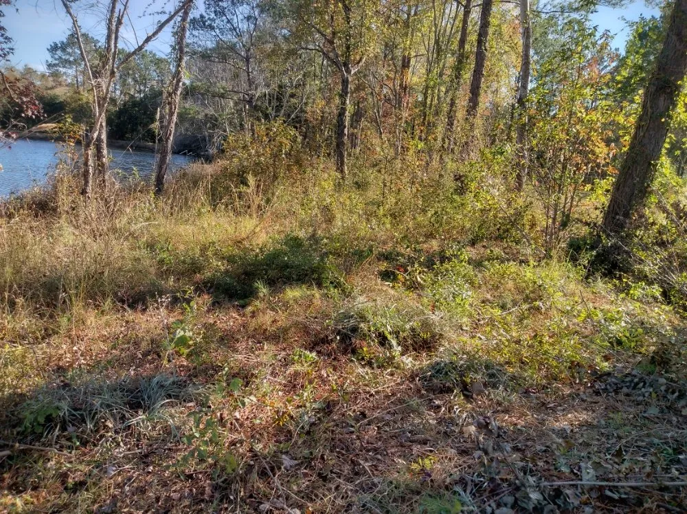 Expert landscaping services experts serving Darlington, SC - Maynards Landscaping