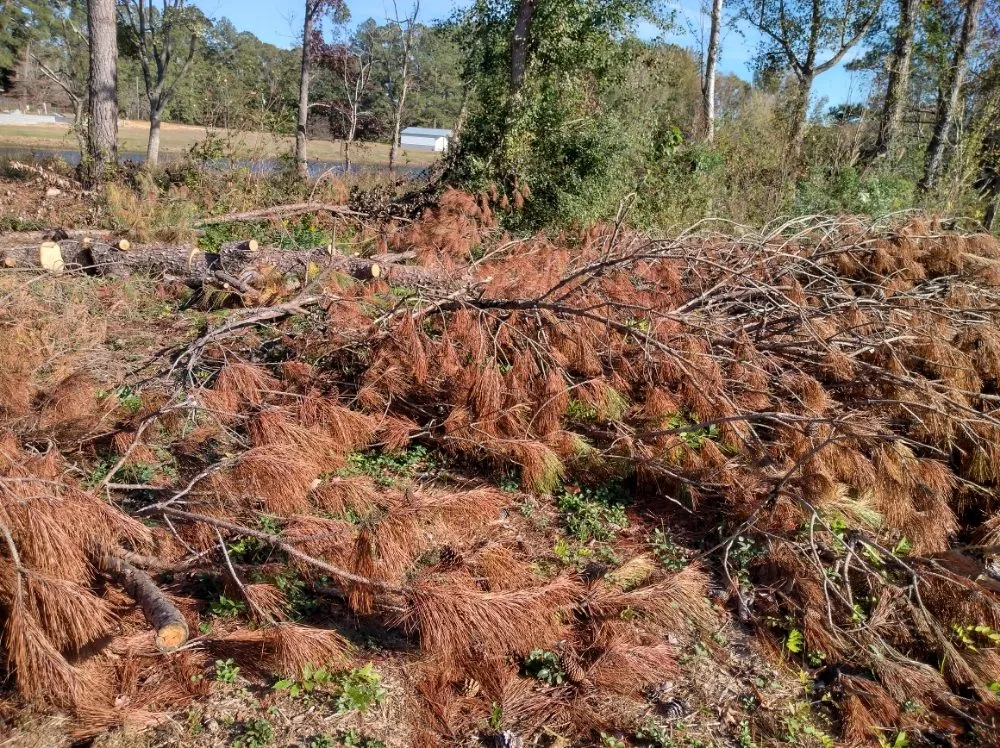 Expert yard maintenance in Darlington, SC by Maynards Landscaping