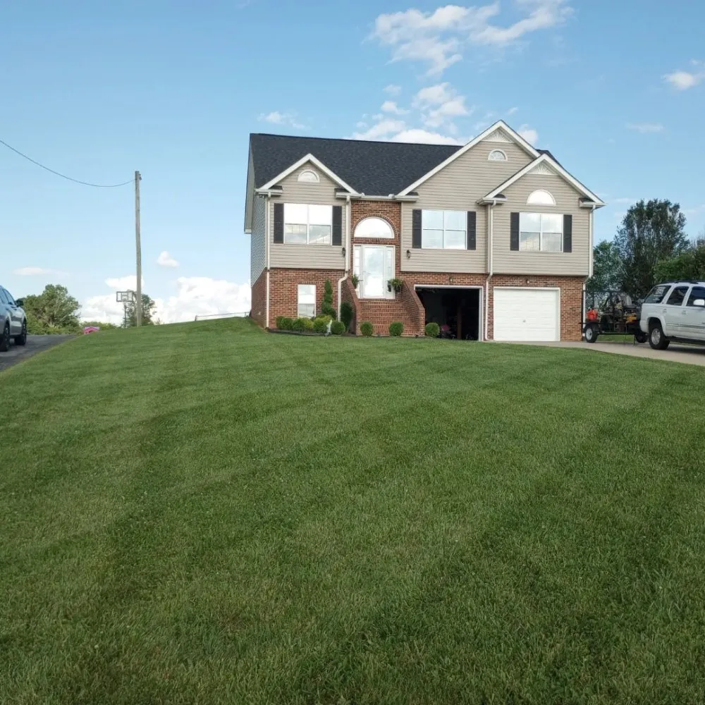 Professional yard cleanup service experts serving Sparta, TN - Maynard's Mowing Service