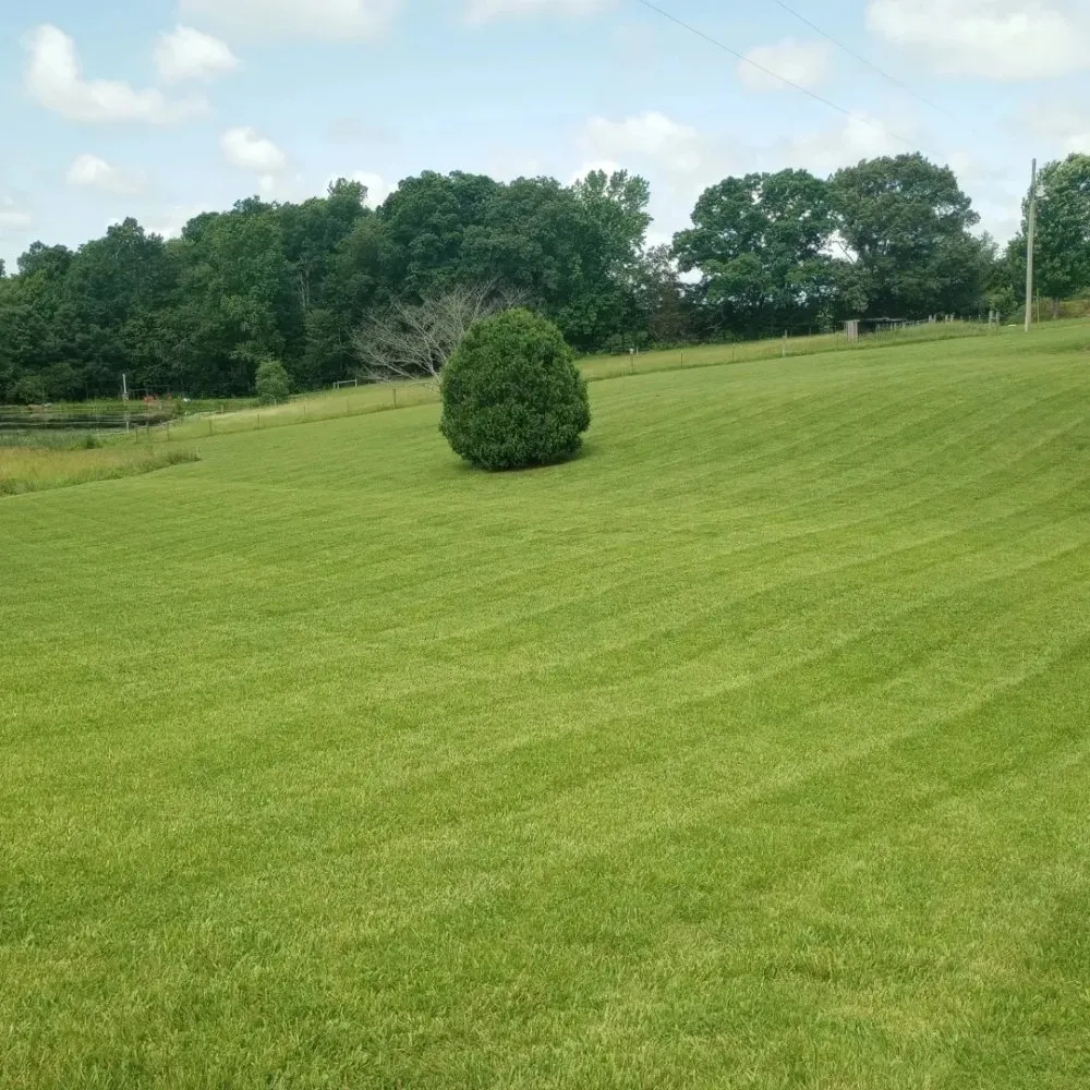 Reliable residential landscaping for beautiful yards in Sparta, TN by Maynard's Mowing Service