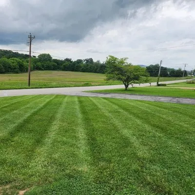 Maynard's Mowing Service