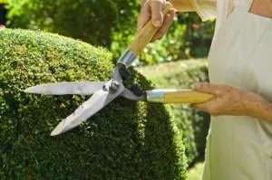 Professional yard maintenance for year-round maintenance across Alamogordo, NM - Maynez Mowing And Landscape