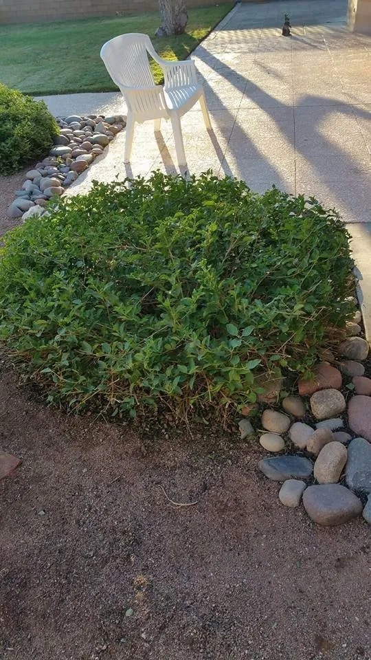 Top-rated landscape design experts serving Alamogordo, NM - Maynez Mowing And Landscape