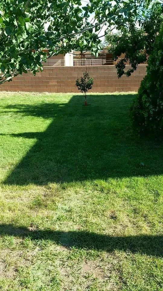 Professional landscape design in Alamogordo, NM - Maynez Mowing And Landscape