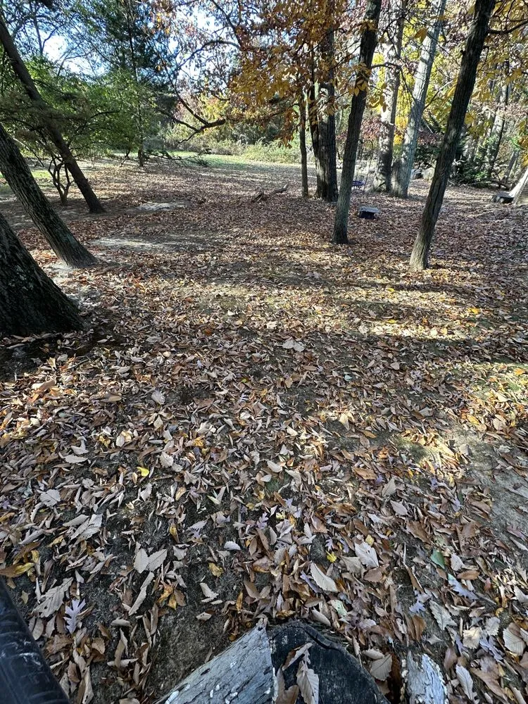 Expert lawn mowing service in Laurel, MD - Maynor Pineda Landscaping