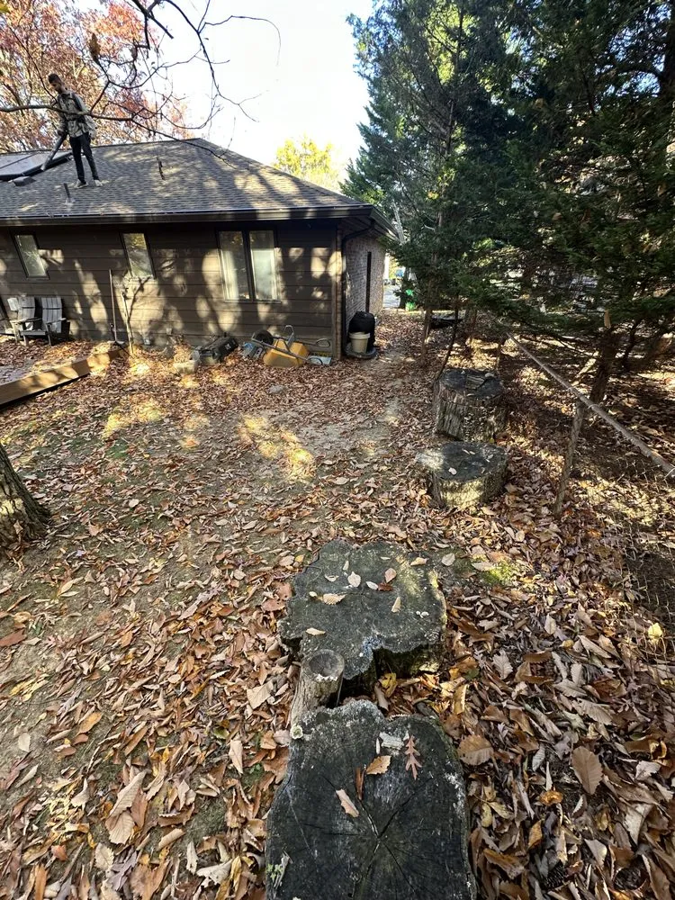 Reliable yard maintenance experts serving Laurel, MD - Maynor Pineda Landscaping