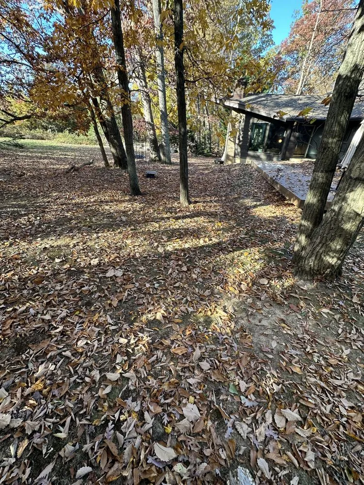 Reliable garden landscaping experts serving Laurel, MD - Maynor Pineda Landscaping