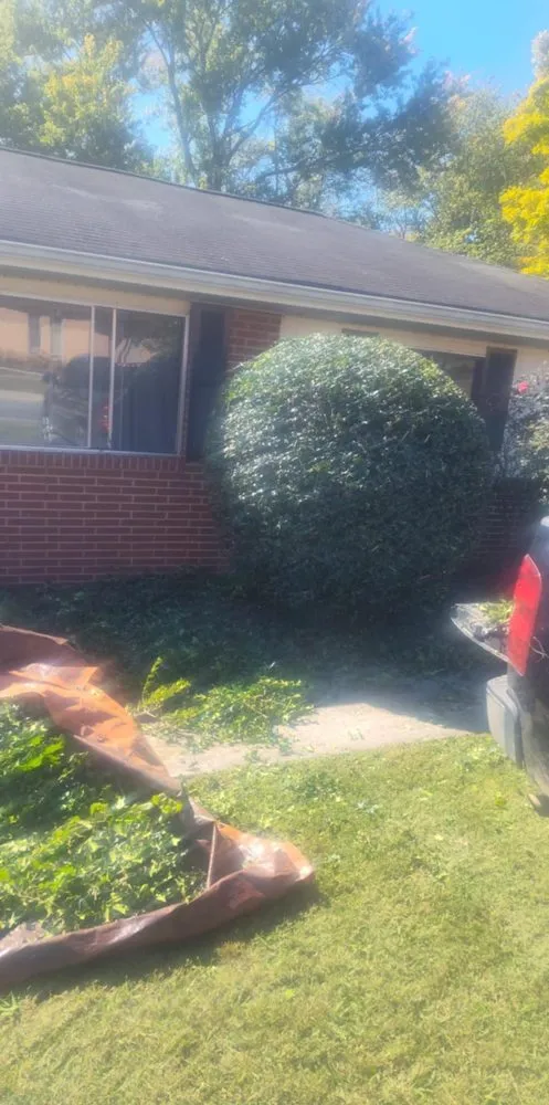 Local landscaping services experts serving Cleveland, TN - Maynor's Landscaping