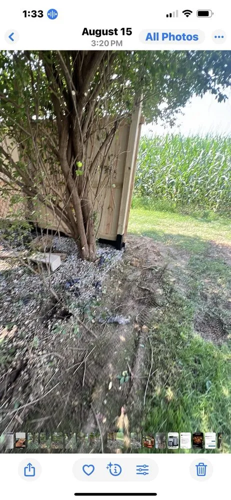 Expert yard cleanup service in Martinsville, IN - Mayo and Sons Landscaping and Trees