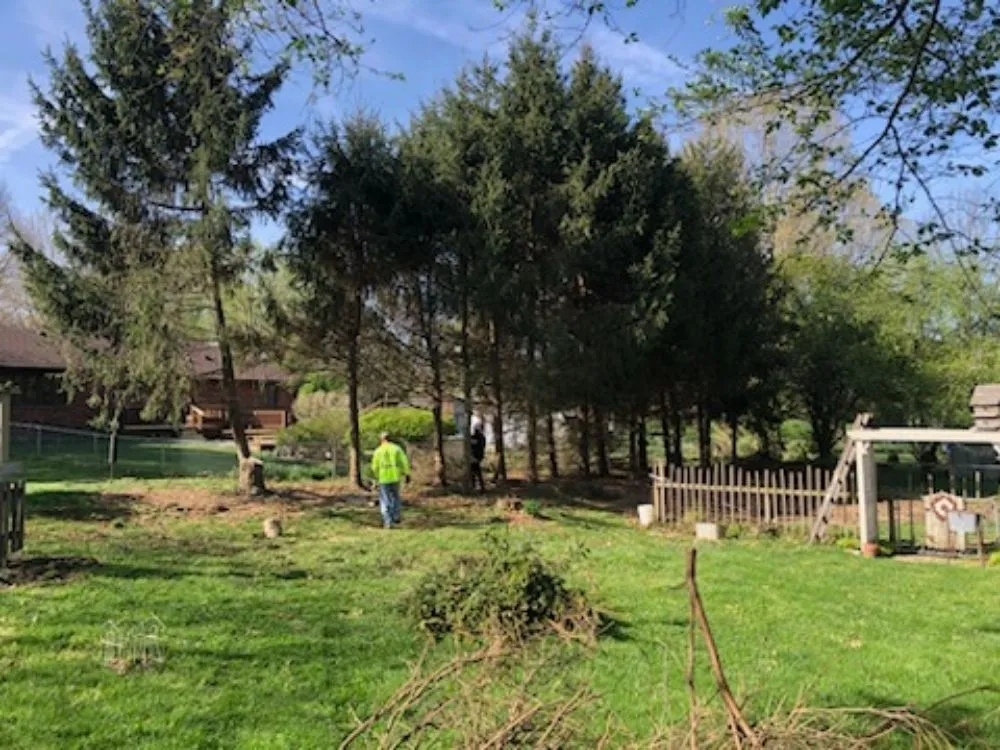 Expert garden landscaping in Martinsville, IN by Mayo and Sons Landscaping and Trees