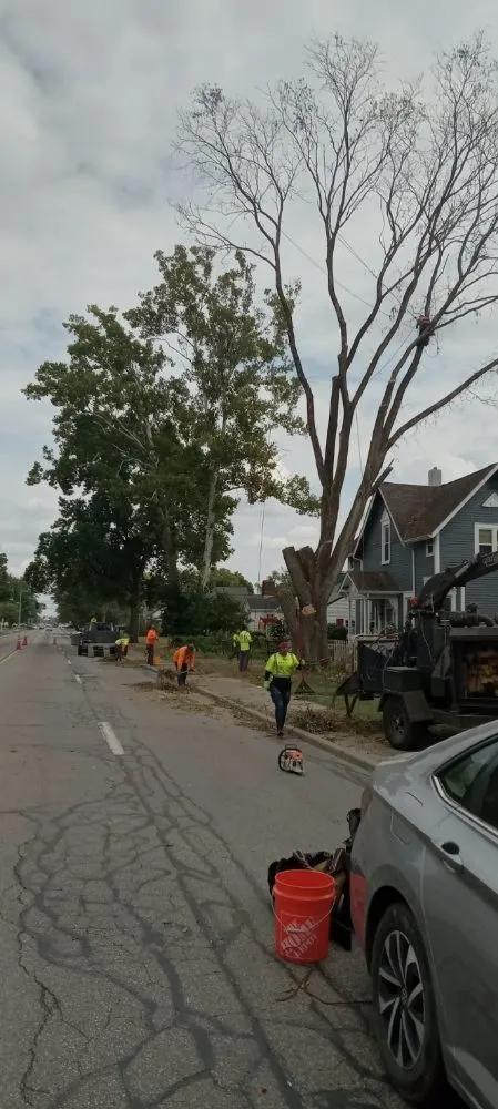Custom landscape installation in Martinsville, IN by Mayo and Sons Landscaping and Trees