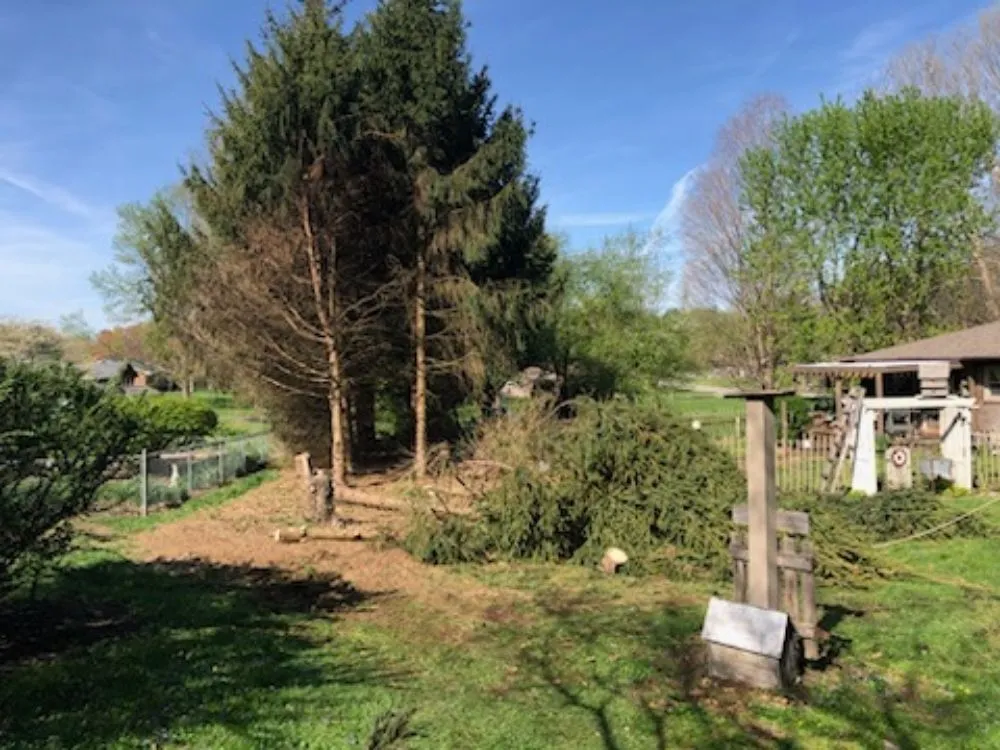 Expert yard maintenance in Martinsville, IN by Mayo and Sons Landscaping and Trees