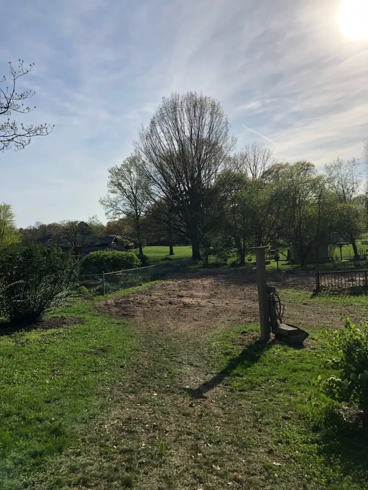 Expert yard cleanup service in Martinsville, IN by Mayo and Sons Landscaping and Trees