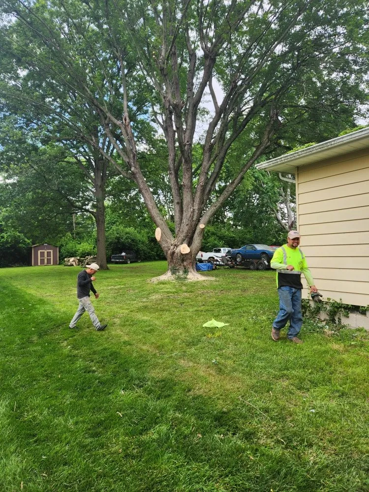 Trusted landscaping services with custom design across Martinsville, IN - Mayo and Sons Landscaping and Trees