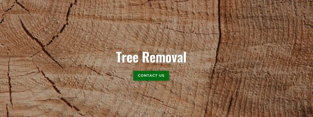 Local landscape design in Martinsville, IN by Mayo and Sons Landscaping and Trees