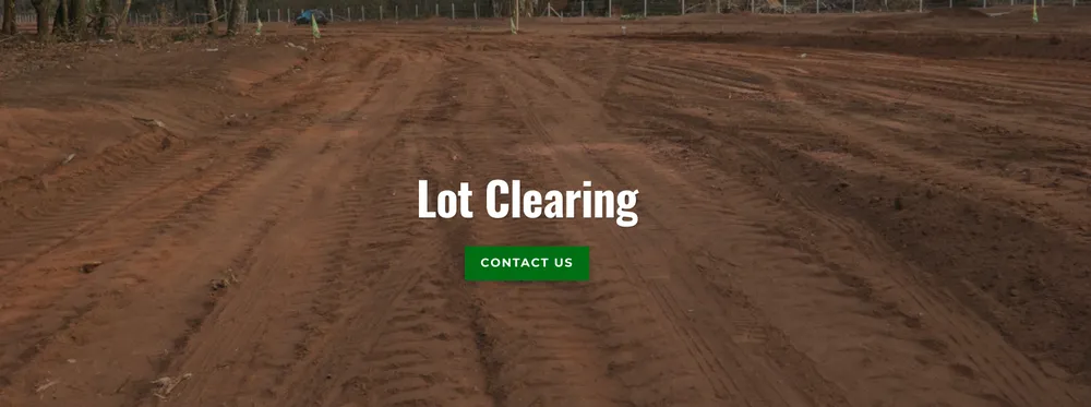 Expert outdoor landscaping experts serving Martinsville, IN - Mayo and Sons Landscaping and Trees