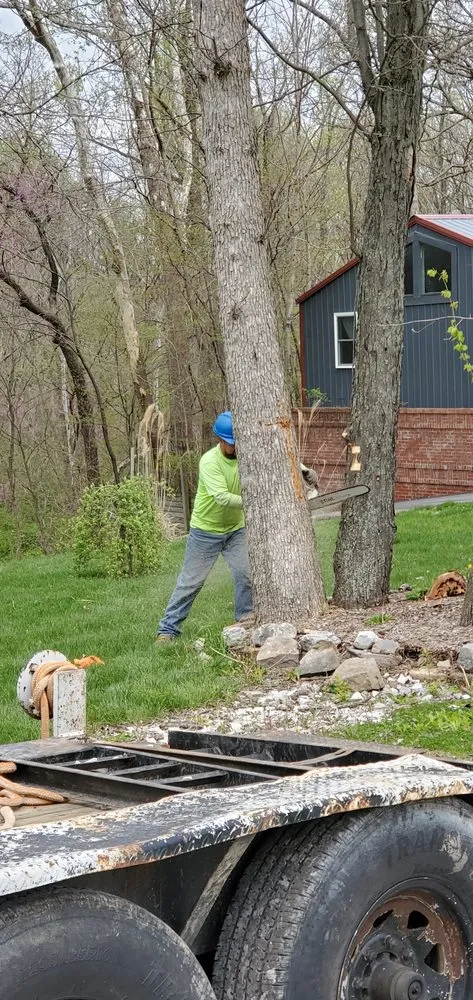 Professional landscaping services in Martinsville, IN - Mayo and Sons Landscaping and Trees