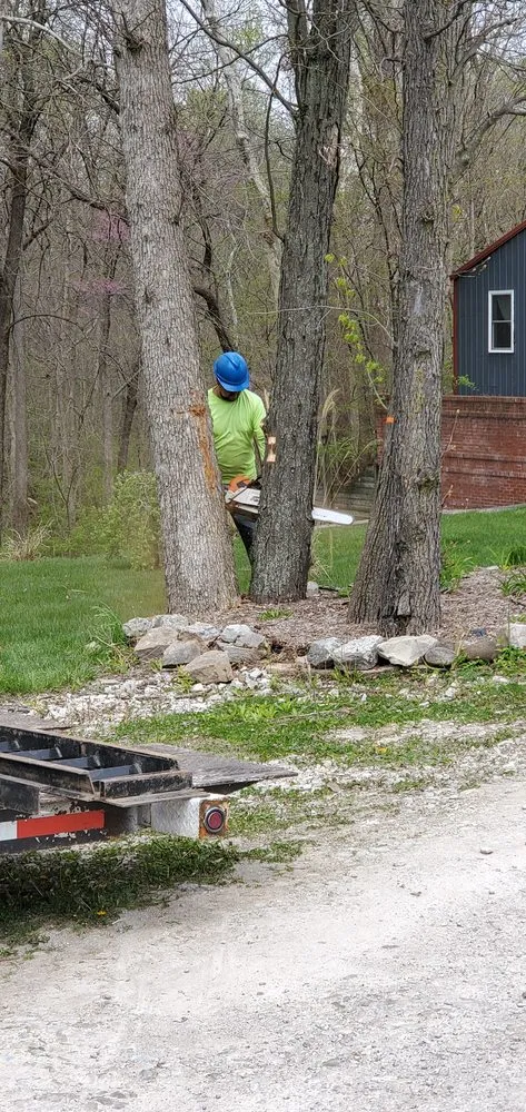 Custom landscaping services for year-round maintenance across Martinsville, IN - Mayo and Sons Landscaping and Trees