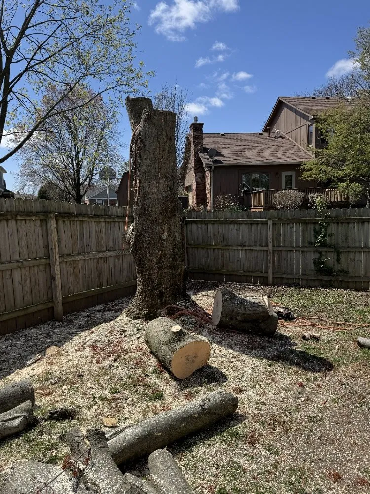 Trusted garden landscaping near you across Martinsville, IN - Mayo and Sons Landscaping and Trees