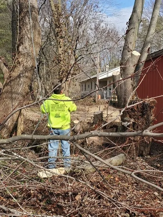 Professional residential landscaping near you across Martinsville, IN - Mayo and Sons Landscaping and Trees