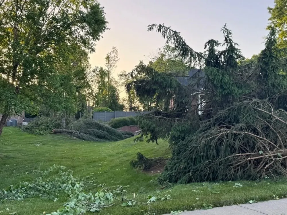 Professional landscaping services near you across Martinsville, IN - Mayo and Sons Landscaping and Trees