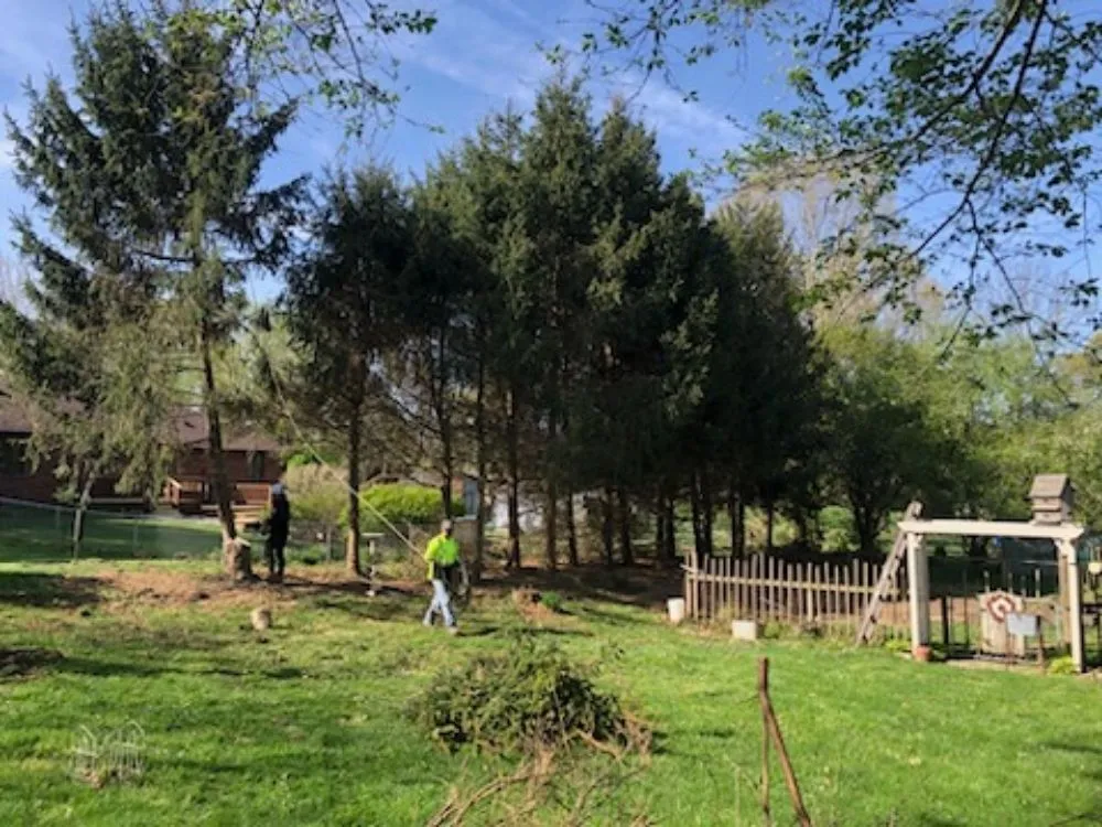 Top-rated residential landscaping experts serving Martinsville, IN - Mayo and Sons Landscaping and Trees